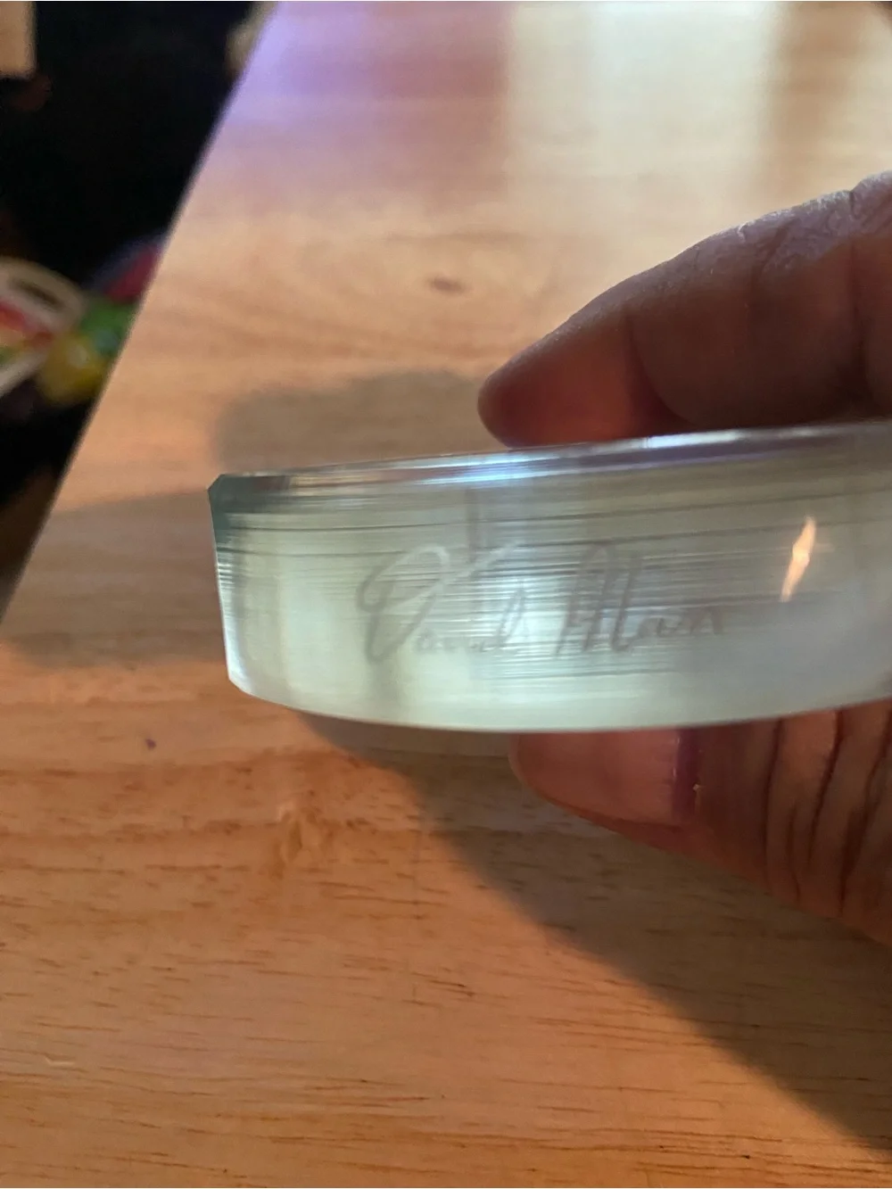 Clear Turtle Paperweight Signed David Alan